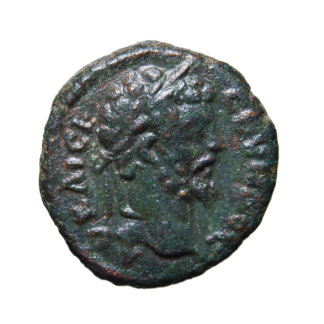 Settimio Severo – Moesia Inferiore - Bronzo - 193-211 d.C. - BB