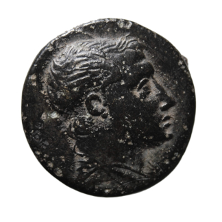 Ponto - Mitridate VI Eupatore - Bronzo - 120-100 a.C. - BB
