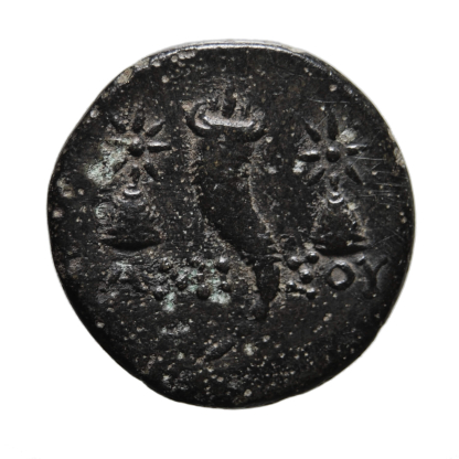 Ponto - Mitridate VI Eupatore - Bronzo - 120-100 a.C. - BB - immagine 2