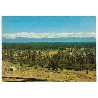 Cartolina - Marocco - Marrakech - Palmeraie et Grand Atlas - FG - NV